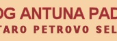 Naslov: �upa Svetog Antuna - Staro Petrovo Selo
